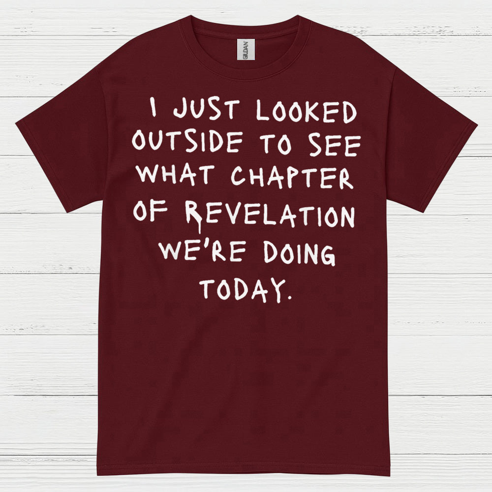 I Just Looked Outside Revelation Humor T Shirt