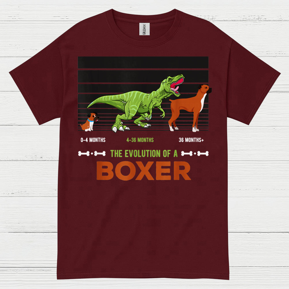 Funny Boxer Evolution Graphic T Shirt