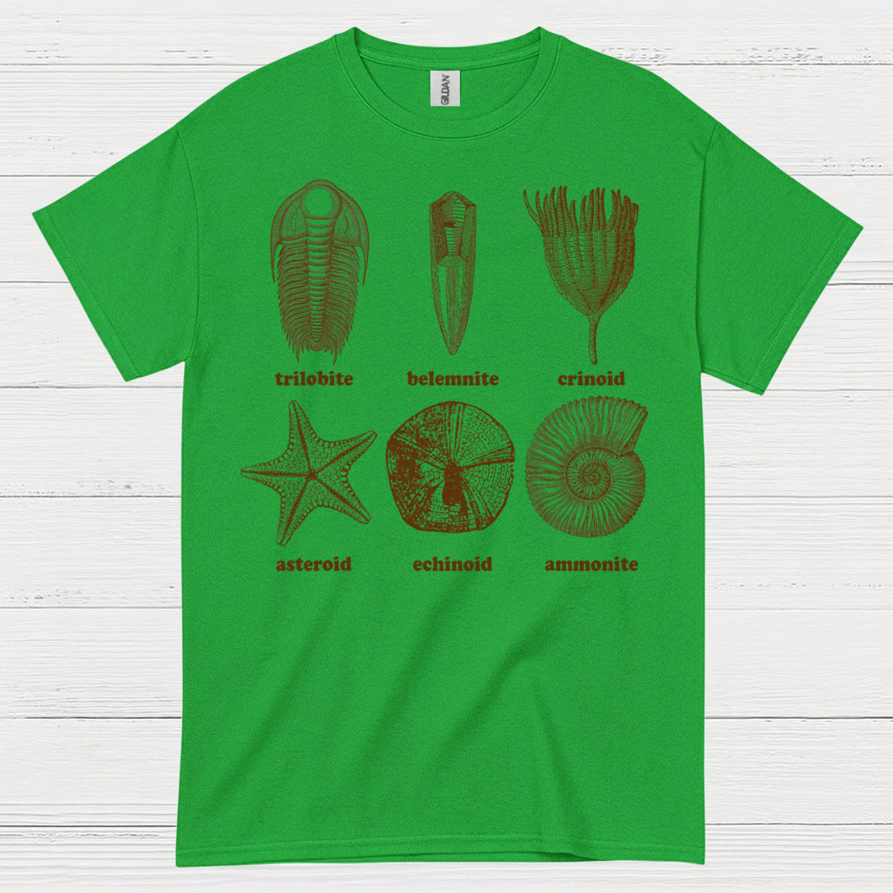 Fossil Collection Geology T Shirt