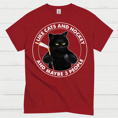 Funny Cat and Hockey T-Shirt I Like Cats and Hockey and Maybe 3 People