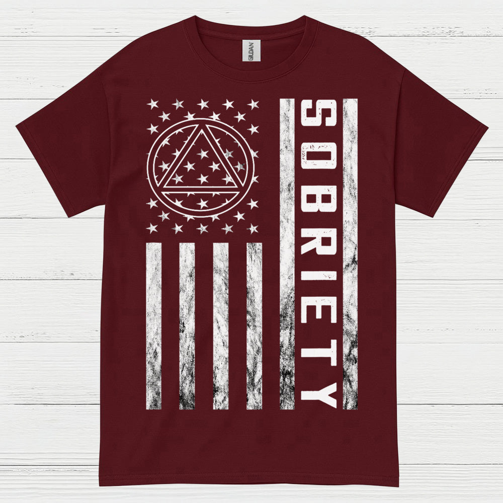 Sobriety Flag Recovery T Shirt