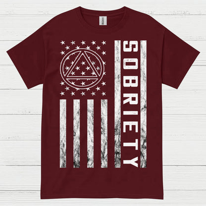 Sobriety Flag Recovery T Shirt