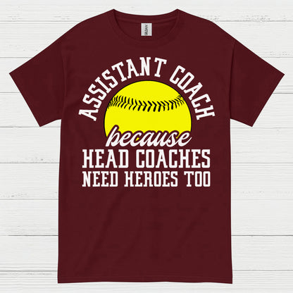 Assistant Coach Softball Hero T Shirt