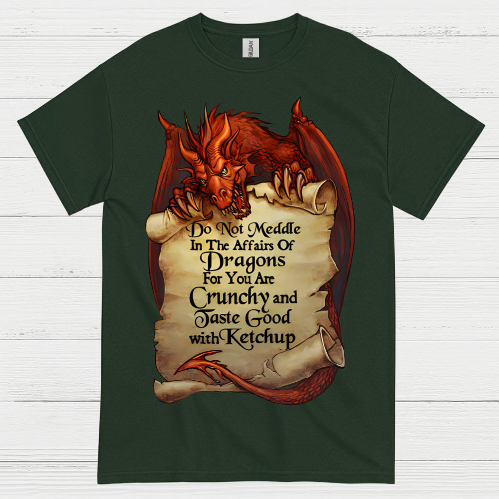 Do Not Meddle With Dragons T Shirt