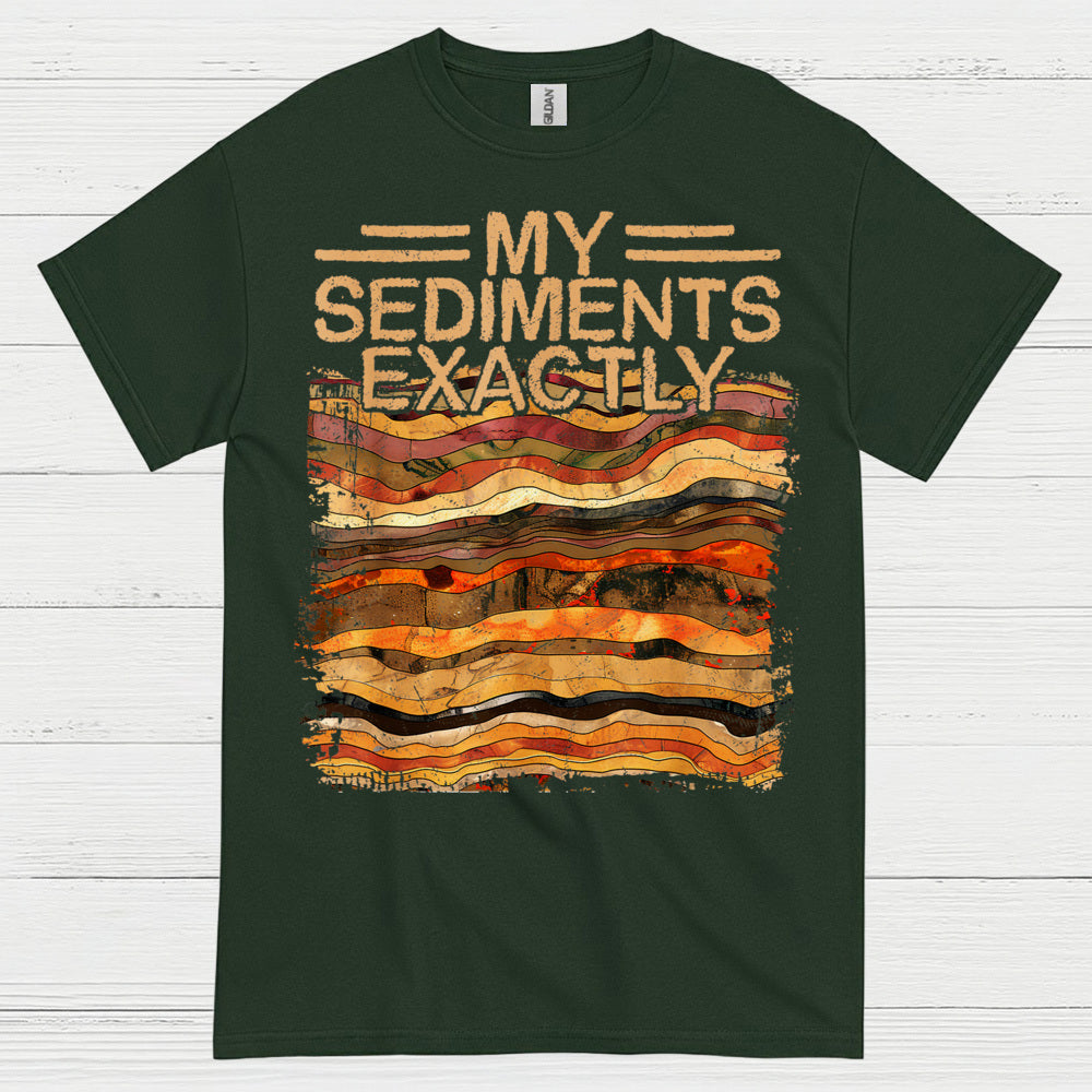 My Sediments Exactly Geology T Shirt