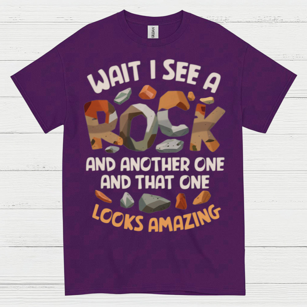 Wait I See A Rock Looks Amazing T Shirt