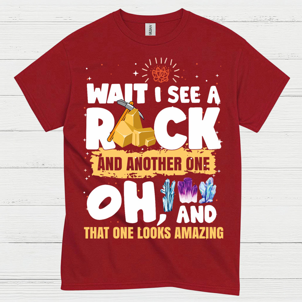 Wait I See A Rock T Shirt