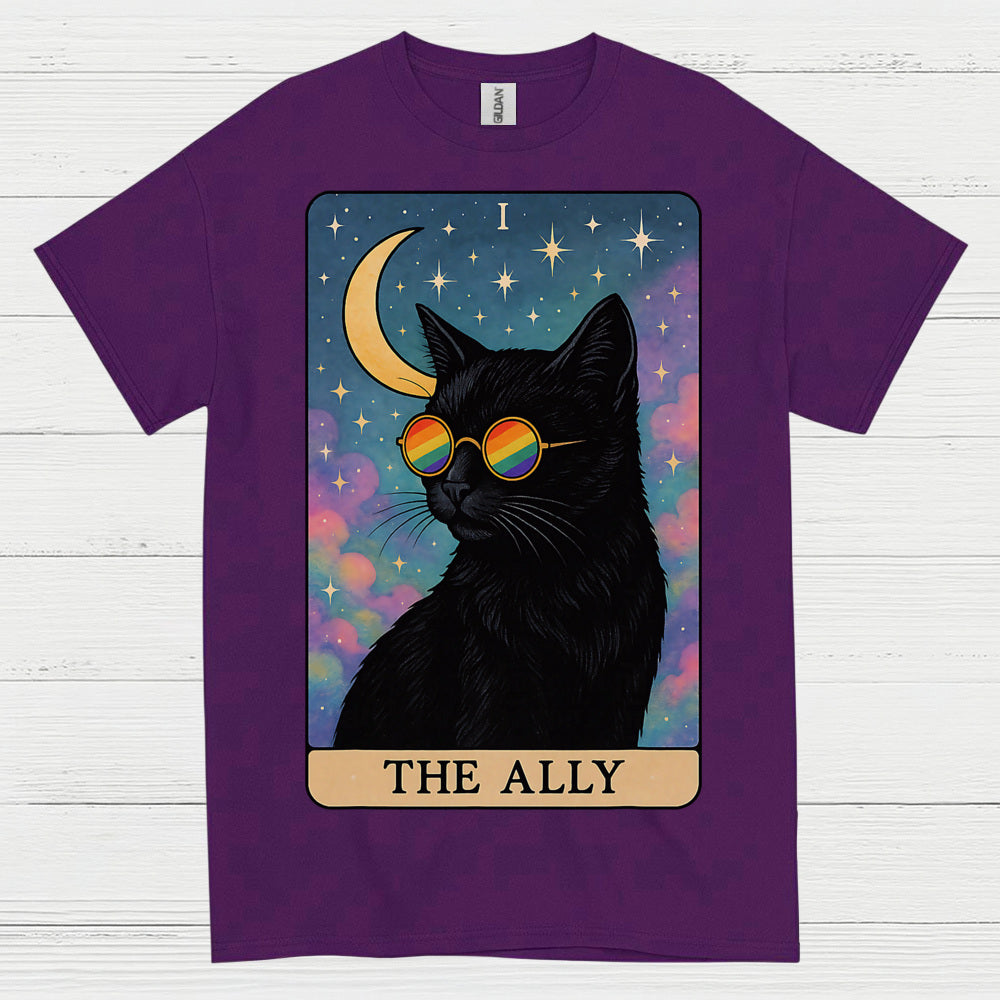 The Ally Rainbow Cat Art T Shirt