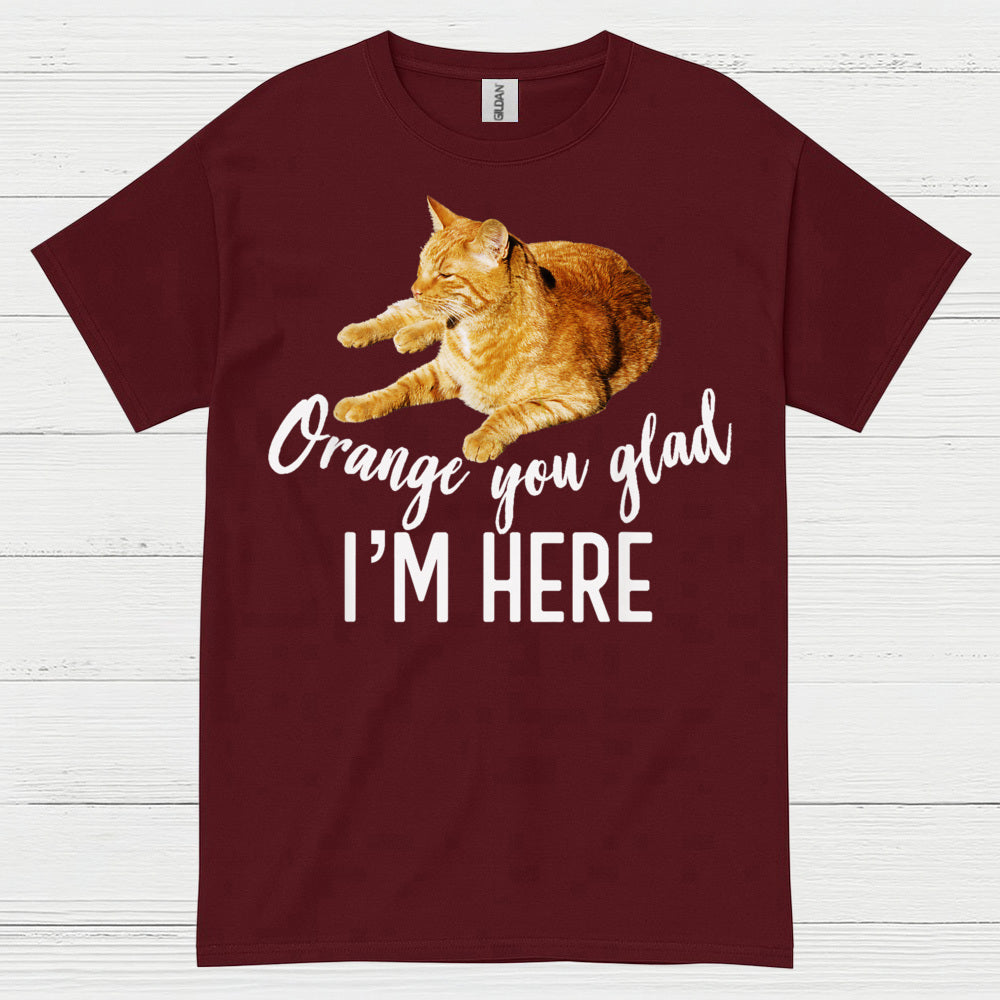 Orange You Glad Im Here Cat Humor T Shirt