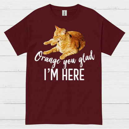 Orange You Glad Im Here Cat Humor T Shirt