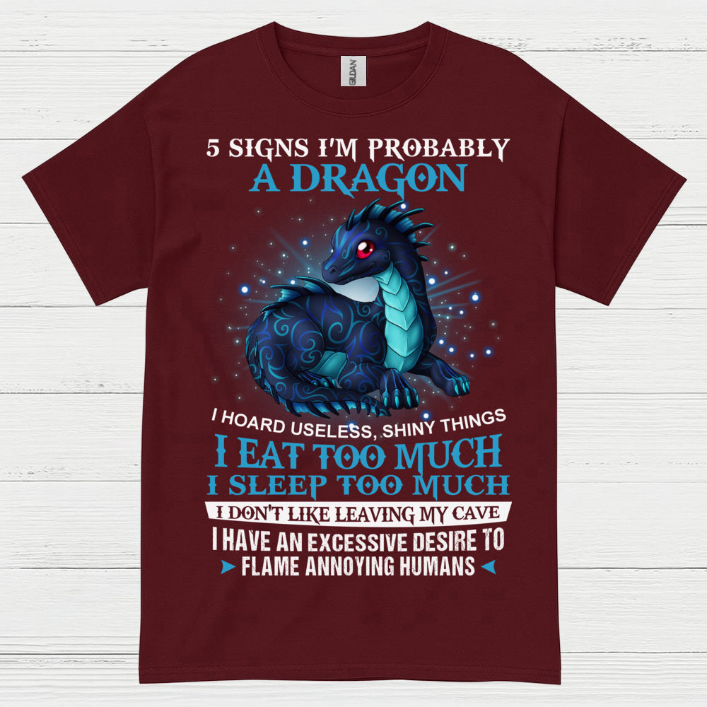 Probably A Dragon T Shirt
