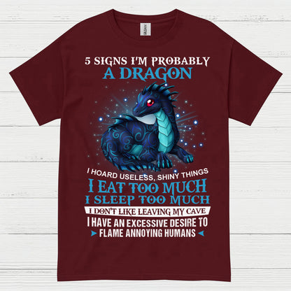 Probably A Dragon T Shirt