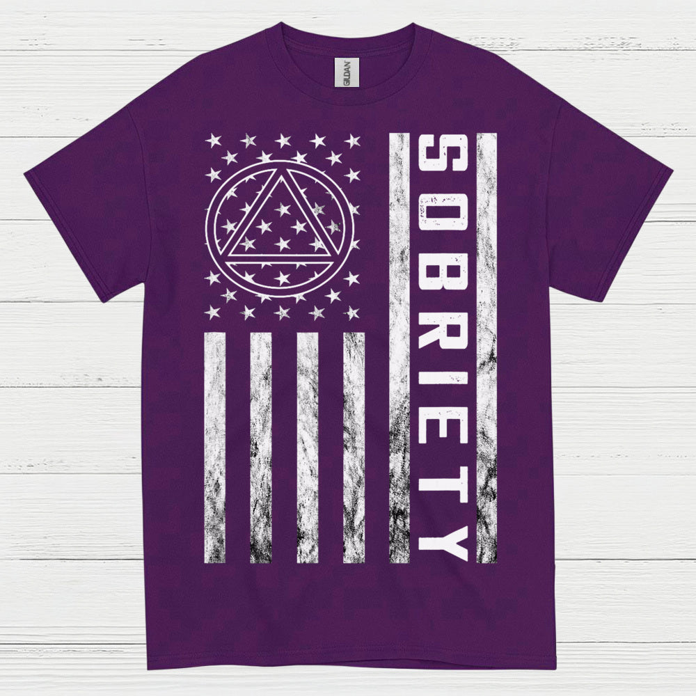 Sobriety Flag Recovery T Shirt