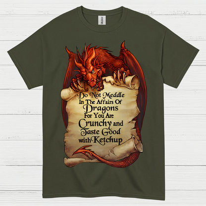 Do Not Meddle With Dragons T Shirt