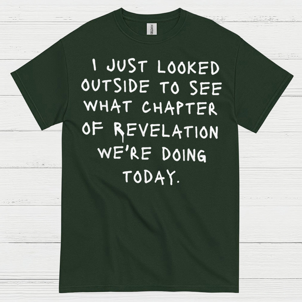 I Just Looked Outside Revelation Humor T Shirt