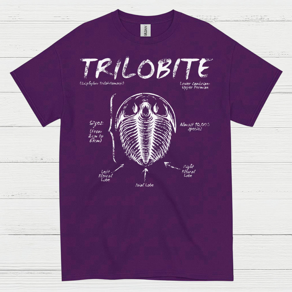Trilobite Fossil Anatomy T Shirt