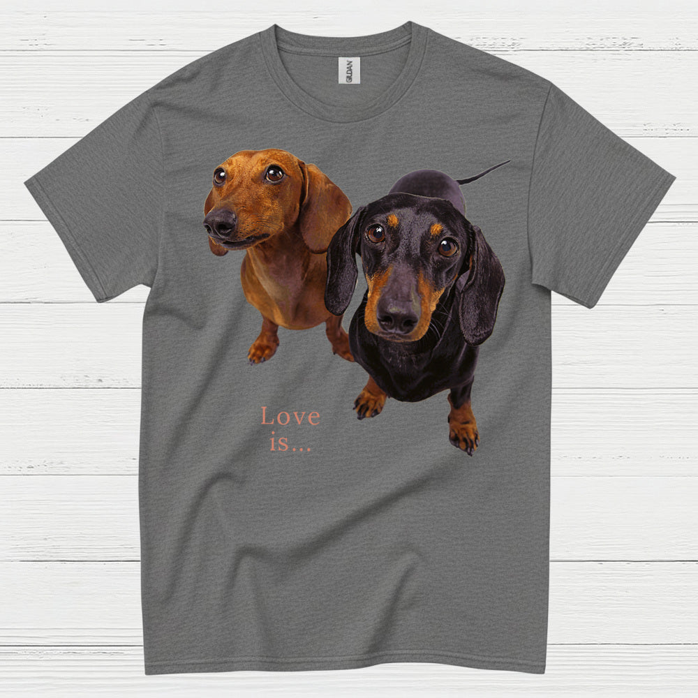 Never Underestimate A Woman Who Loves Coffee And Dachshunds T Shirt
