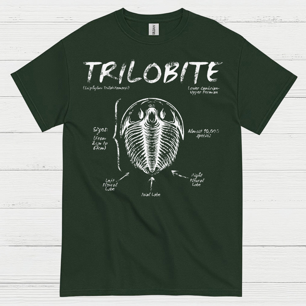 Trilobite Fossil Anatomy T Shirt