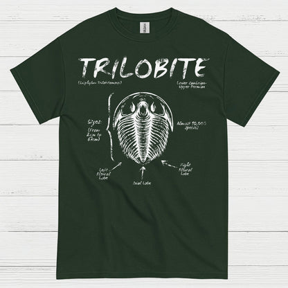 Trilobite Fossil Anatomy T Shirt