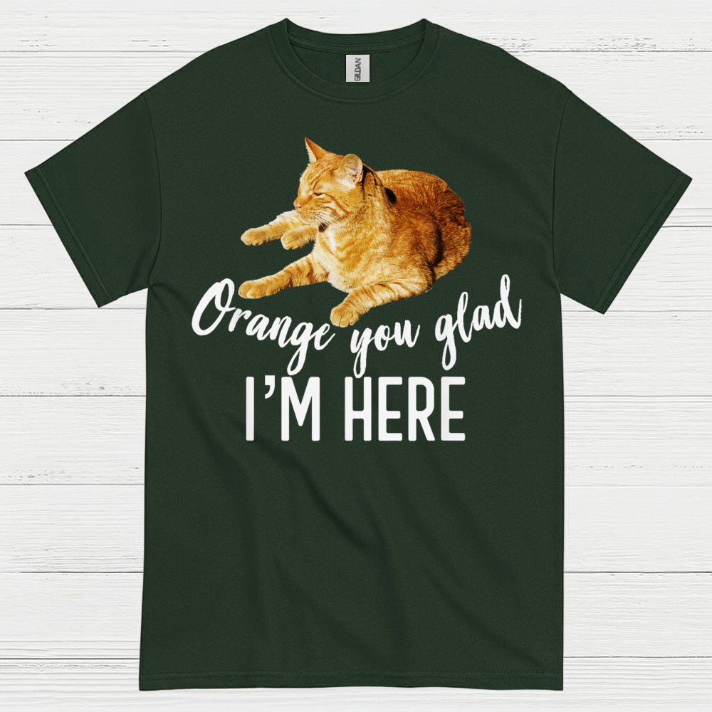 Orange You Glad Im Here Cat Humor T Shirt