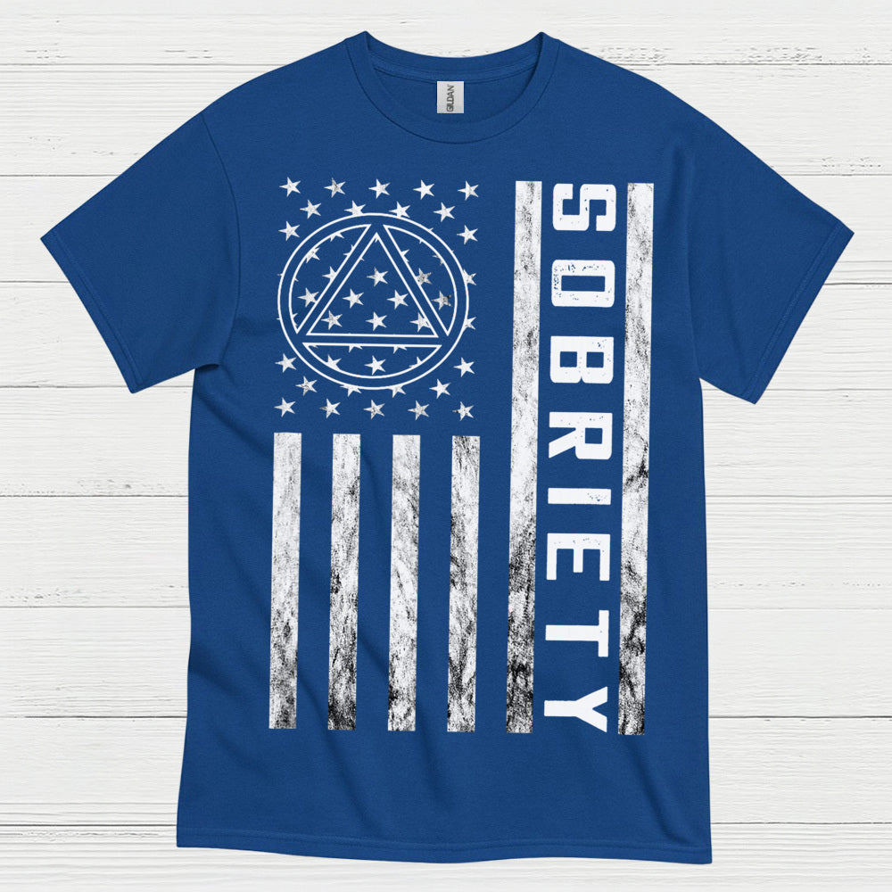 Sobriety Flag Recovery T Shirt