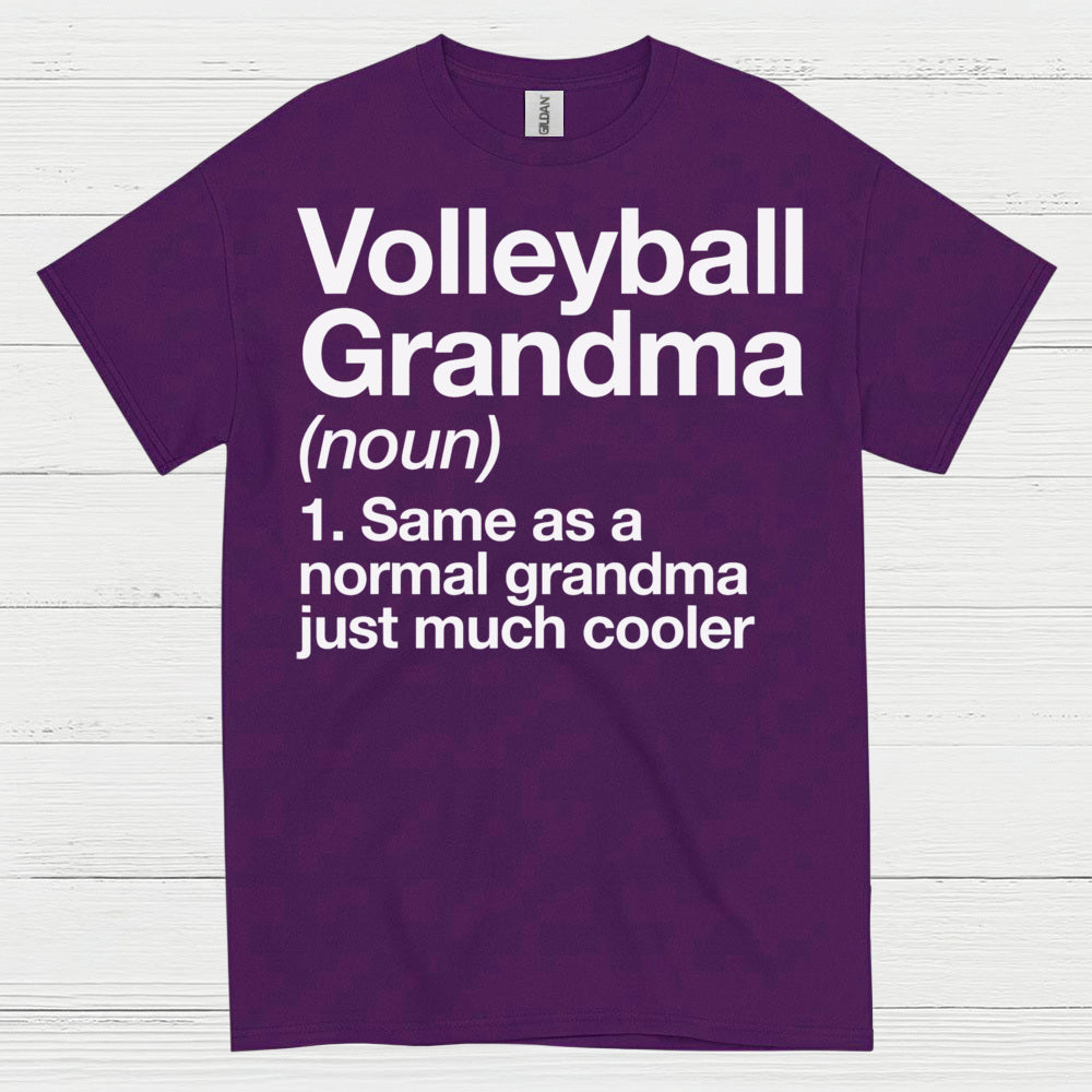 Volleyball Grandma Definition T Shirt