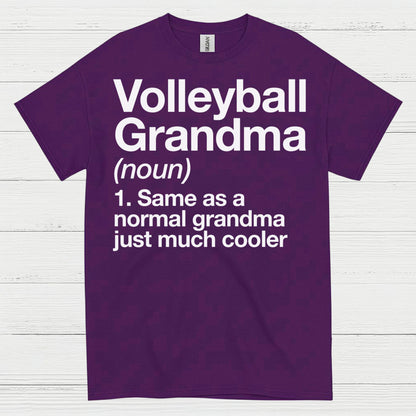 Volleyball Grandma Definition T Shirt