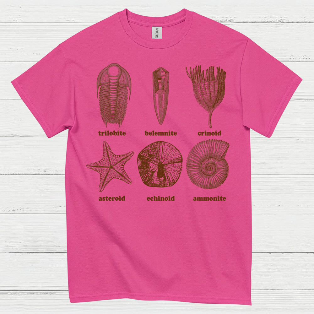 Fossil Collection Geology T Shirt