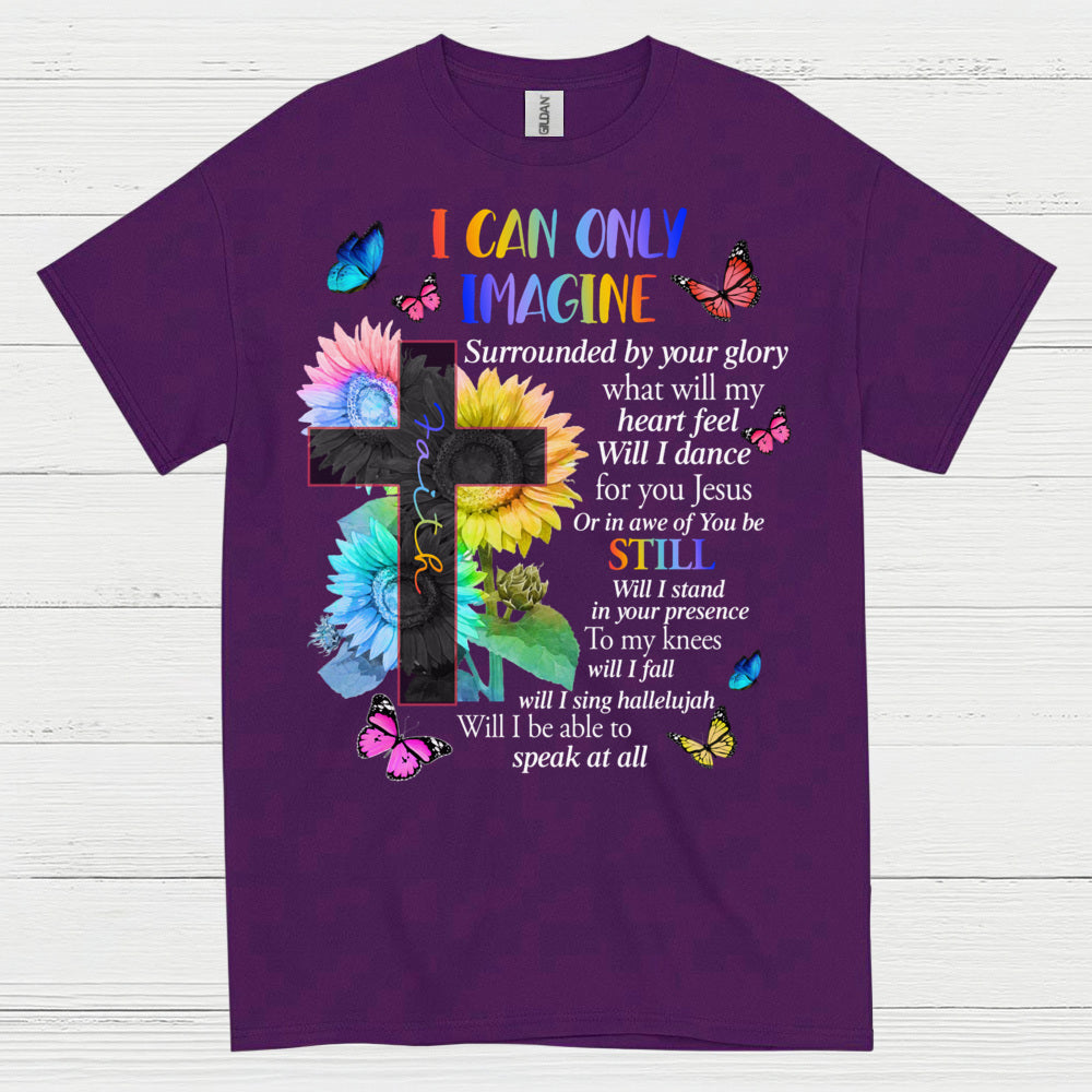 I Can Only Imagine Christian Worship T Shirt