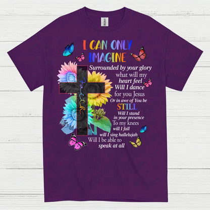 I Can Only Imagine Christian Worship T Shirt