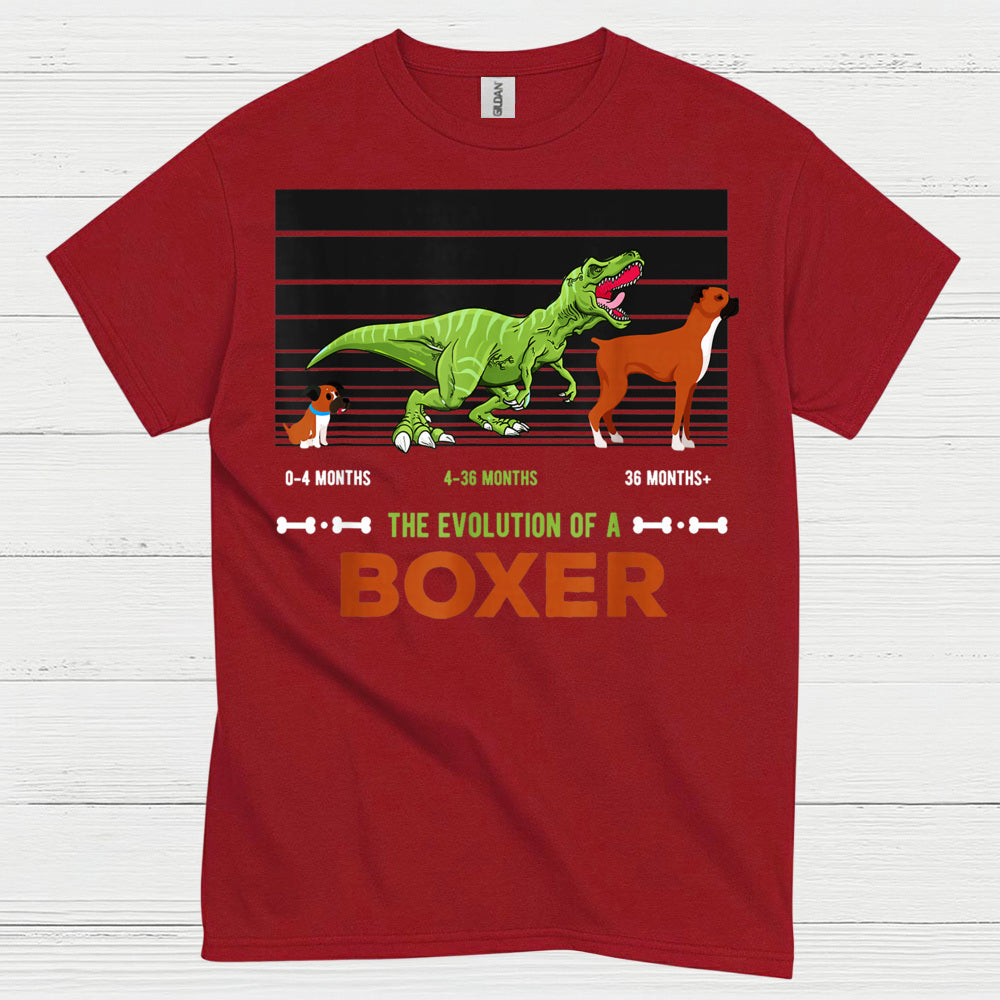 Funny Boxer Evolution Graphic T Shirt