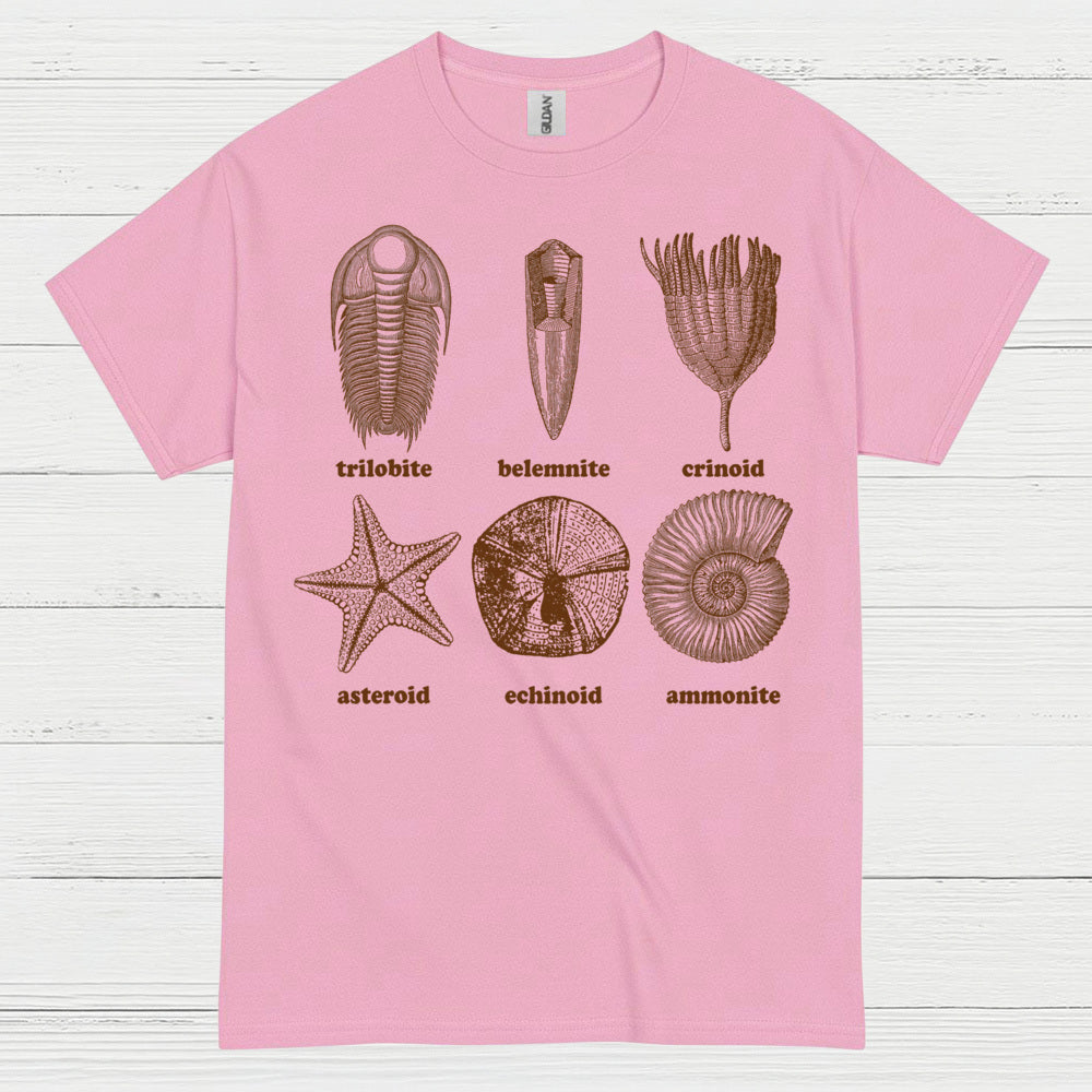 Fossil Collection Geology T Shirt