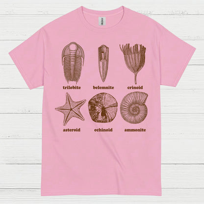 Fossil Collection Geology T Shirt