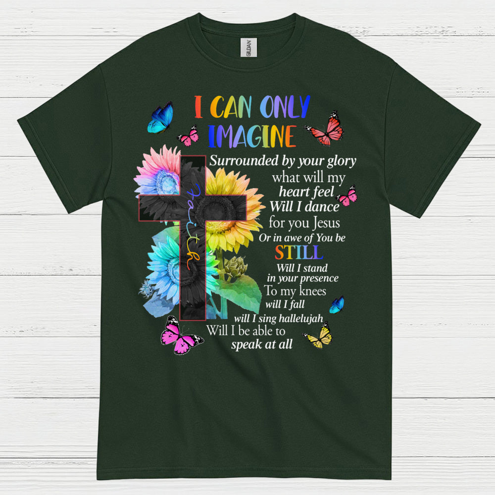 I Can Only Imagine Christian Worship T Shirt