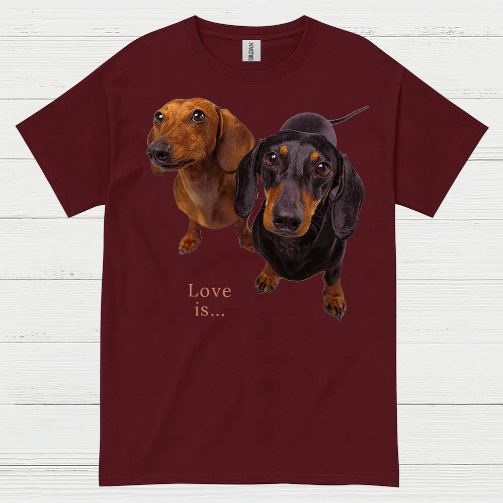 Never Underestimate A Woman Who Loves Coffee And Dachshunds T Shirt
