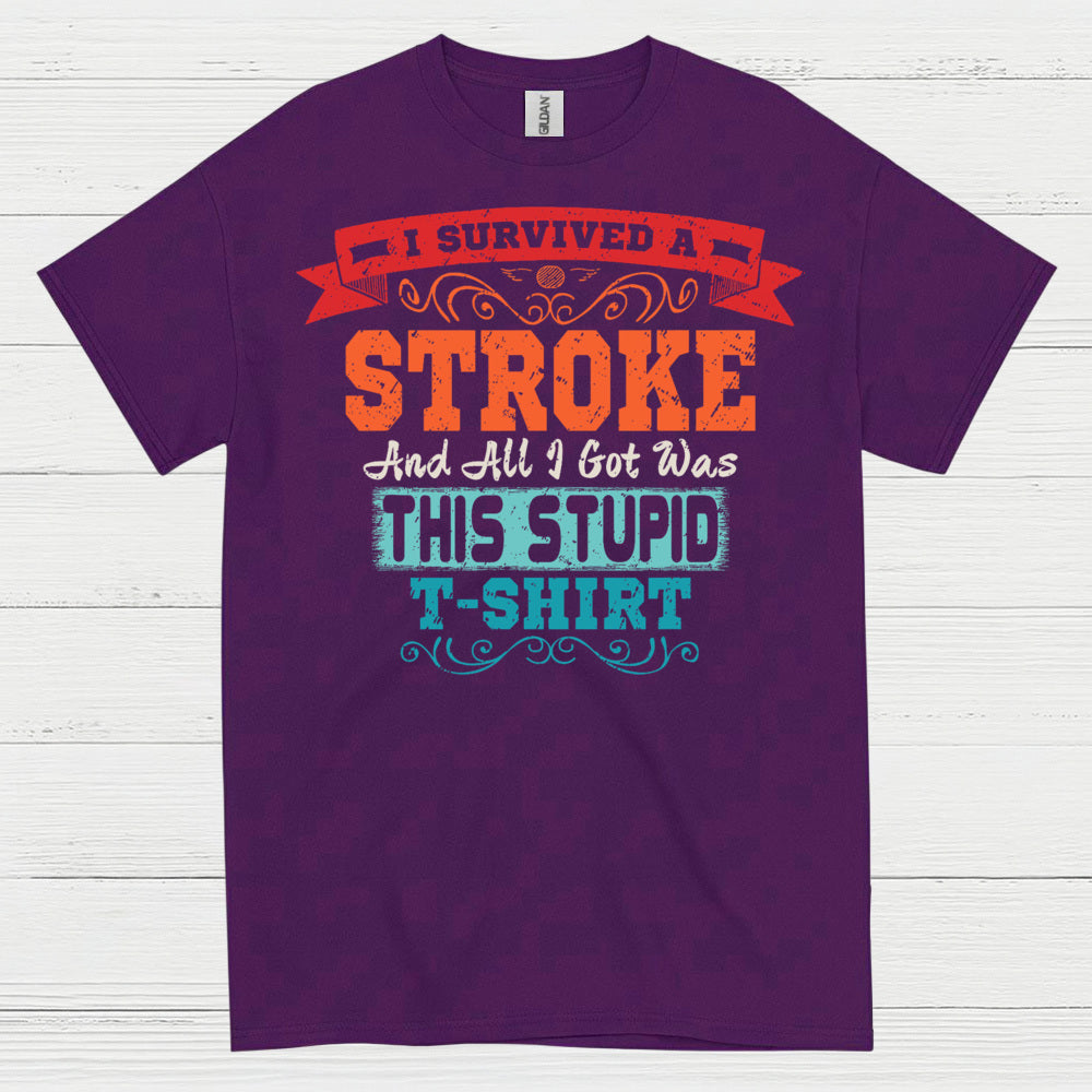 I Survived A Stroke Funny Survivor T Shirt