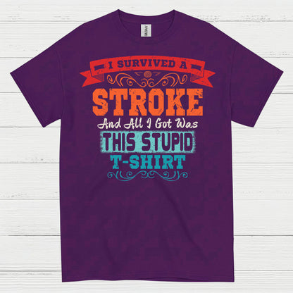 I Survived A Stroke Funny Survivor T Shirt