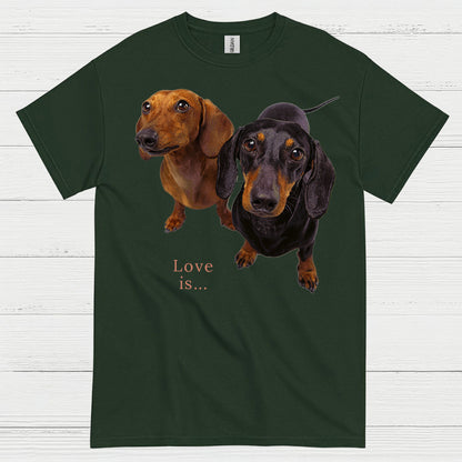 Never Underestimate A Woman Who Loves Coffee And Dachshunds T Shirt