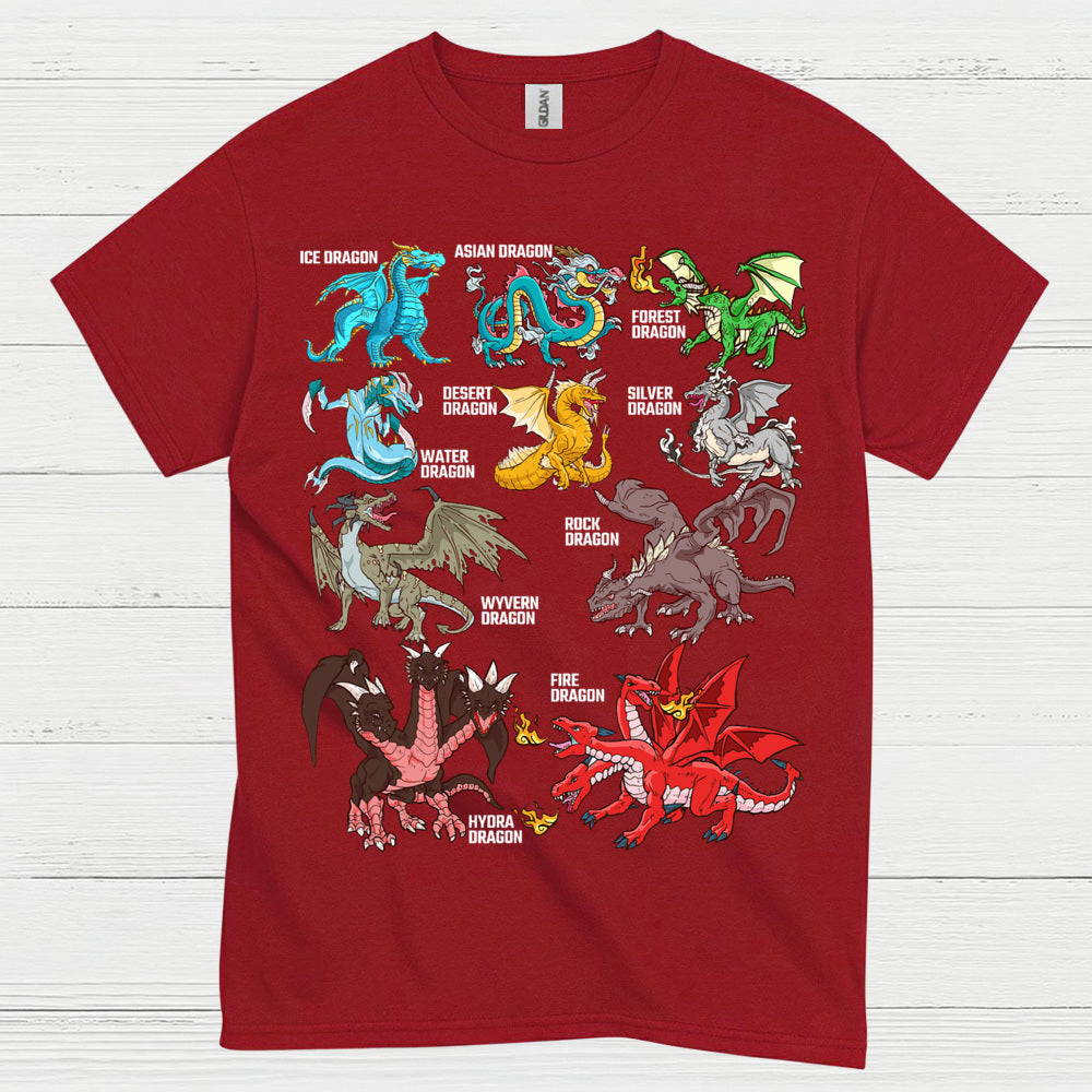 Types Of Dragons T Shirt