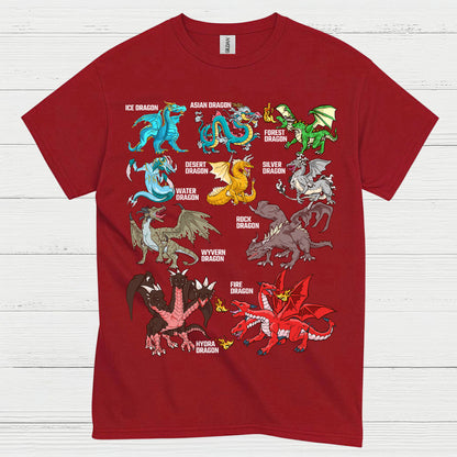 Types Of Dragons T Shirt