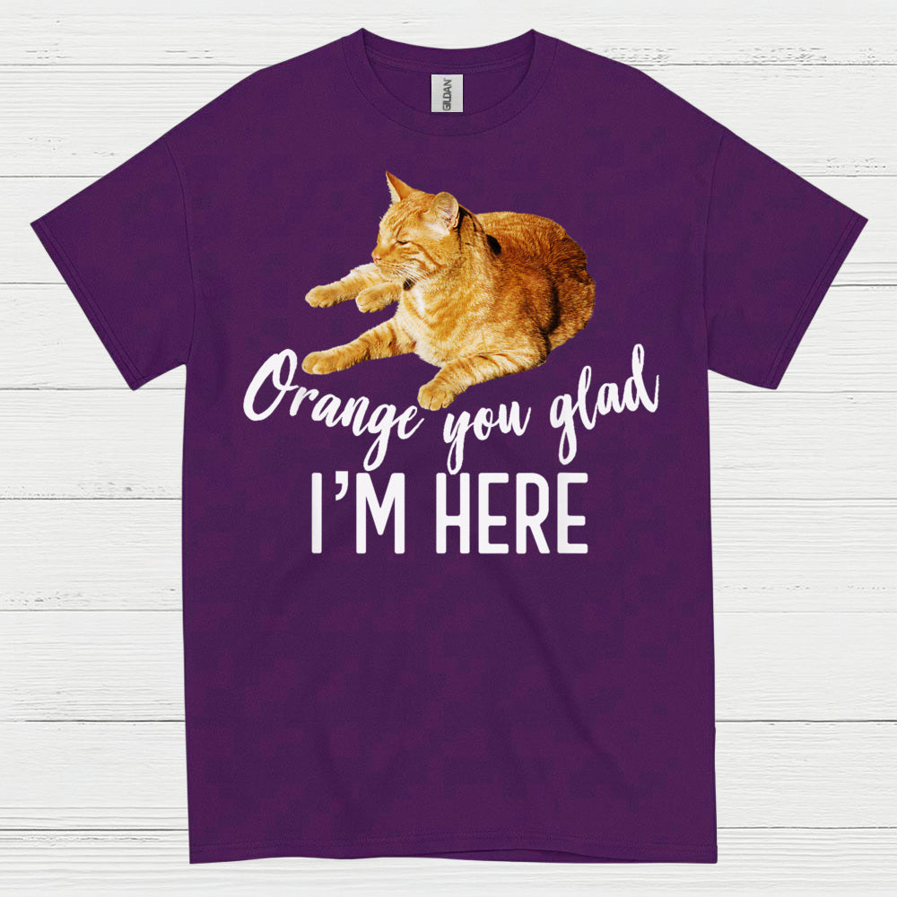 Orange You Glad Im Here Cat Humor T Shirt