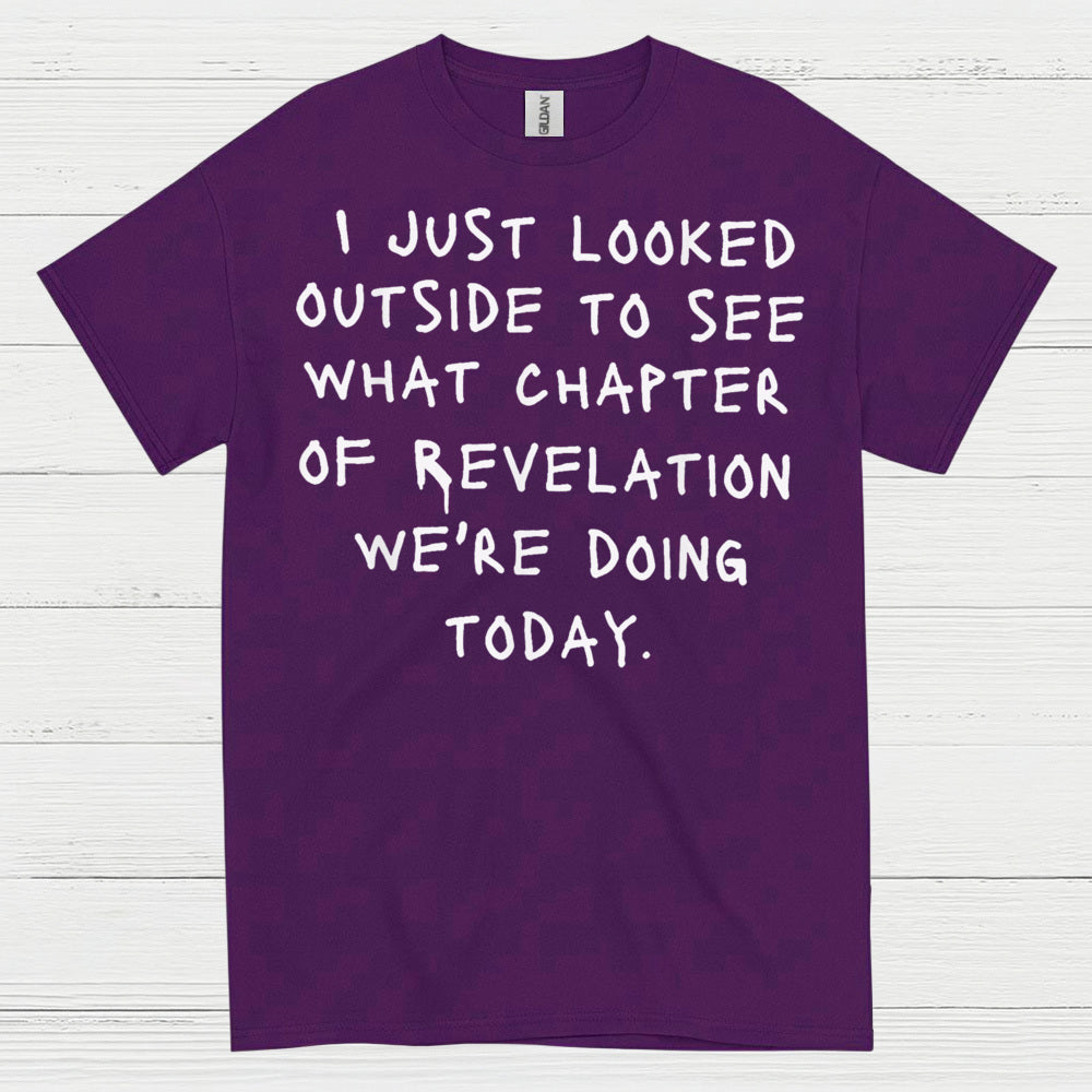 I Just Looked Outside Revelation Humor T Shirt