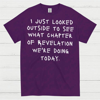 I Just Looked Outside Revelation Humor T Shirt
