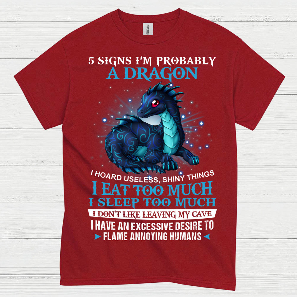 Probably A Dragon T Shirt