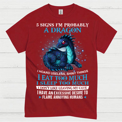 Probably A Dragon T Shirt