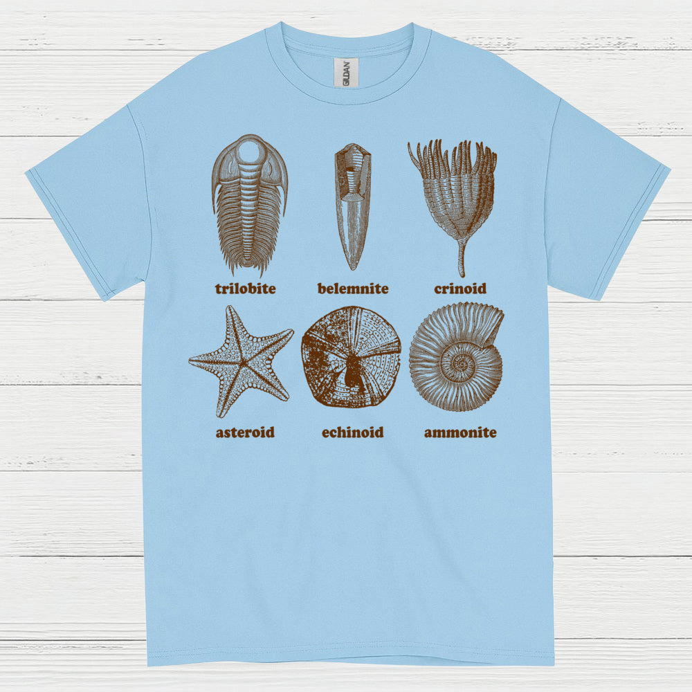 Fossil Collection Geology T Shirt