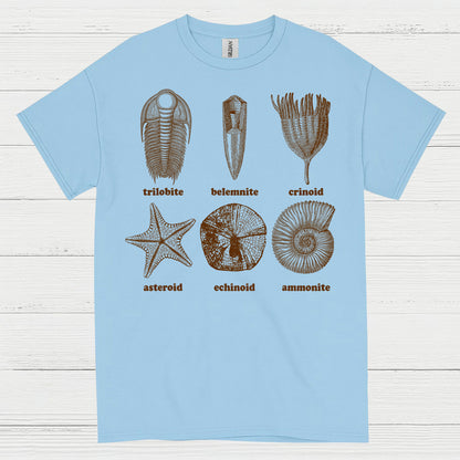Fossil Collection Geology T Shirt