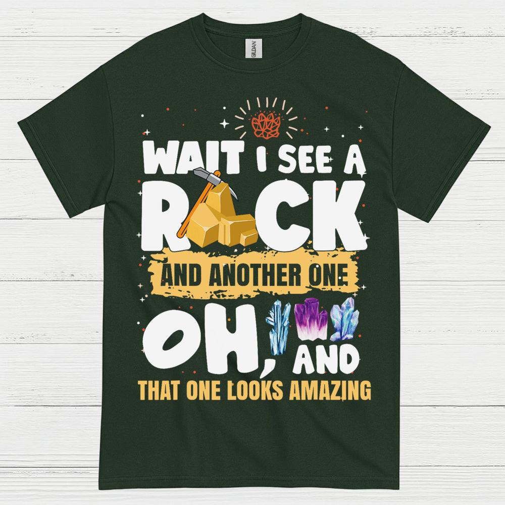 Wait I See A Rock T Shirt