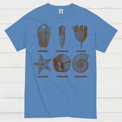 Fossil Collection Geology T Shirt
