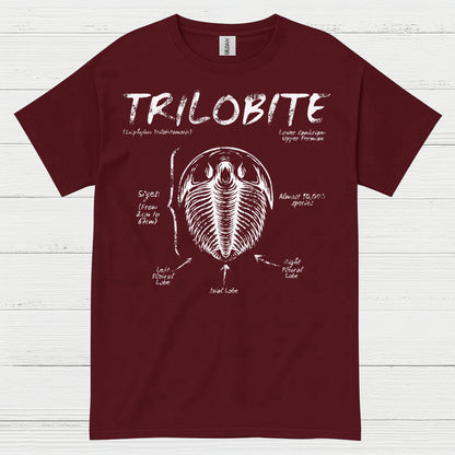Trilobite Fossil Anatomy T Shirt